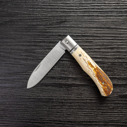 Kniclad outdoor knife M390 steel Fossilized mammoth ivory handle